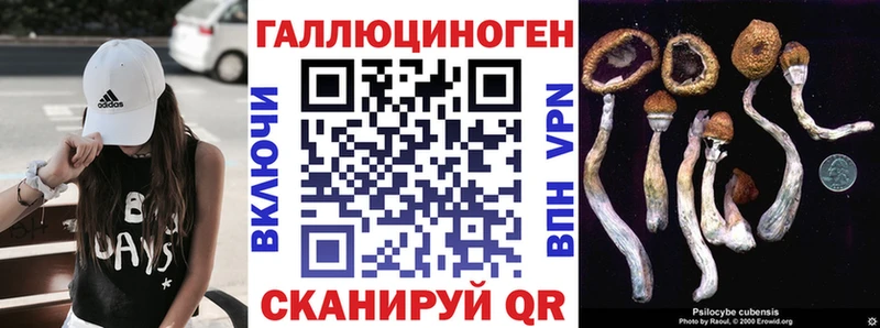 Галлюциногенные грибы Psilocybe  Купить закладки  Струнино 